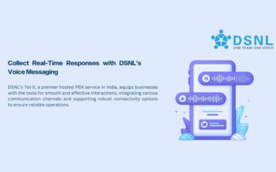 Scalable Call Center Services with DSNL’s Centaur