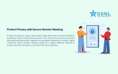 Protect Privacy with Secure Number Masking
